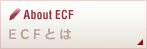 ≫ECFとは｜About ECF